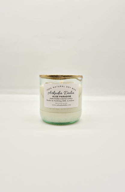 ALOE PARADISE