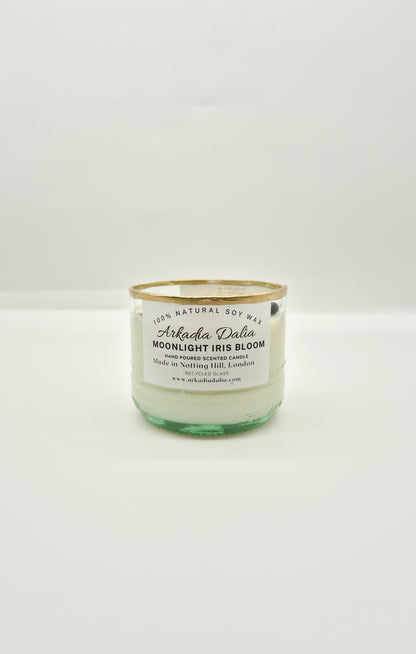 MOONLIGHT IRIS BLOOM