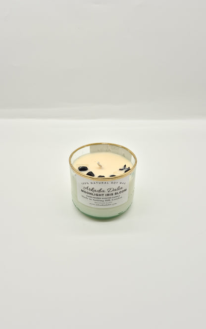 MOONLIGHT IRIS BLOOM