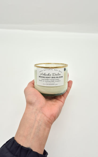 MOONLIGHT IRIS BLOOM