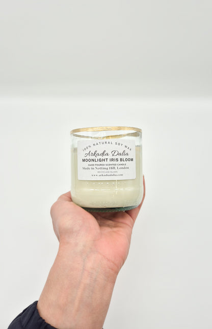 MOONLIGHT IRIS BLOOM