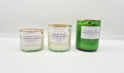 MOONLIGHT IRIS BLOOM