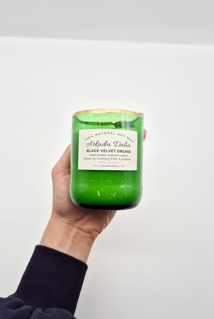 BLACK VELVET ORCHID